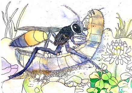 1610610106898910.png 图片13.png