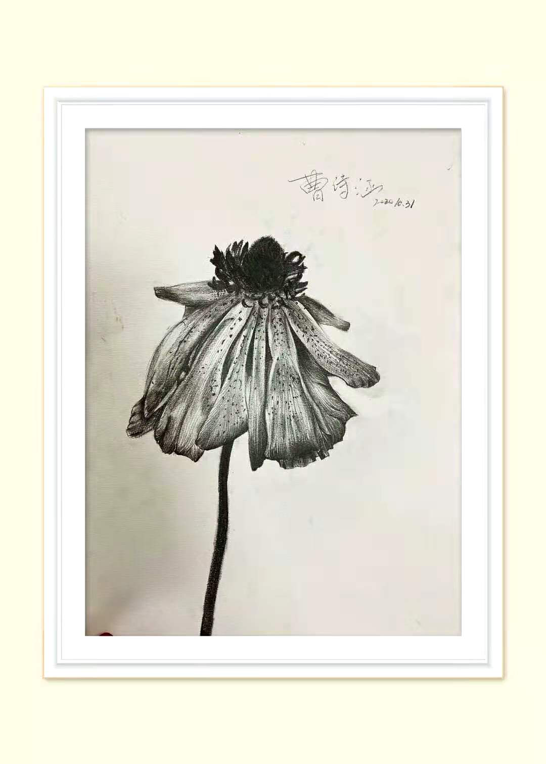 1610610706443982.png 图片23.png